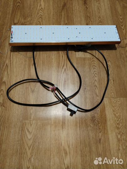 Фитолампа для растений