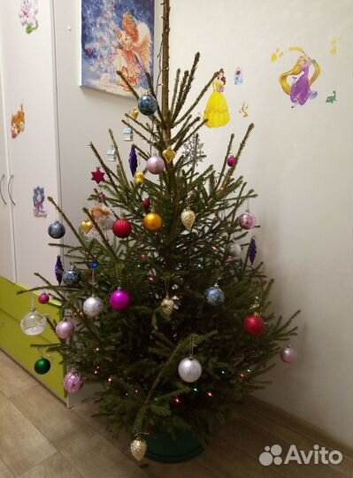 Ель новогодняя