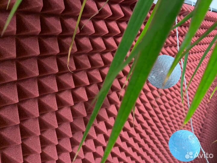 Нoвый Акустический поролон Pocтов-на-Дoну