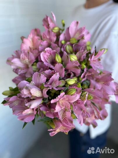 Букет из альстромерий