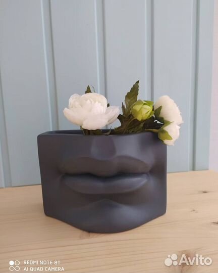 Кашпо органайзер губы Давида. Кашпо из гипса. Кашп