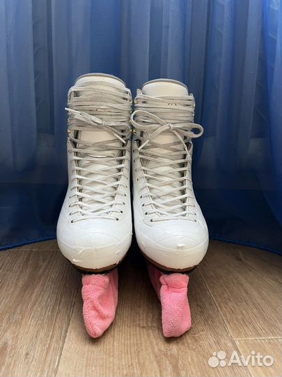 Коньки Jackson Elle