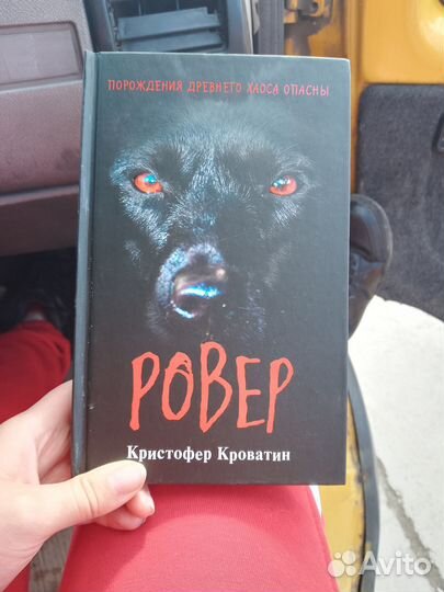 Книга Ровер