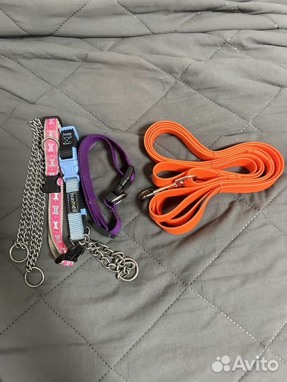 Амуниция для собак