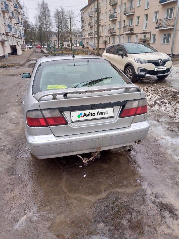 Nissan Primera: фото владельца
