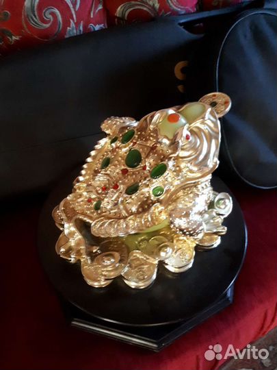 Лягушка денежная большая