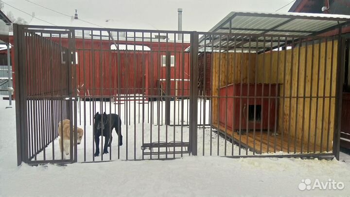 Вольер с выгулом решеткой