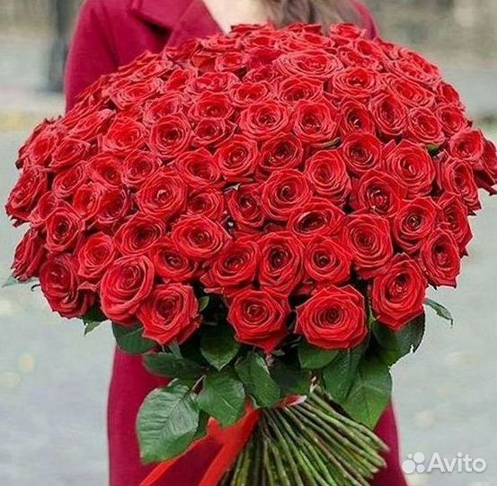 Высокие розы Гигантские розы 110