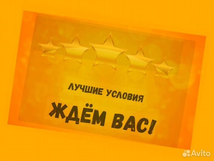 Оператор производственной линии Без опыта М/Ж