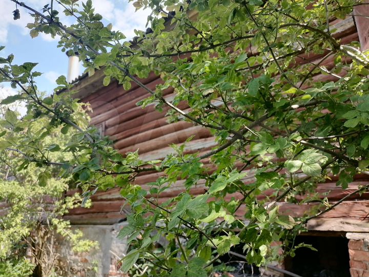 Дом 78 м² на участке 6 сот.