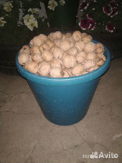 Продам грецкий орех цена за ведро 10 л