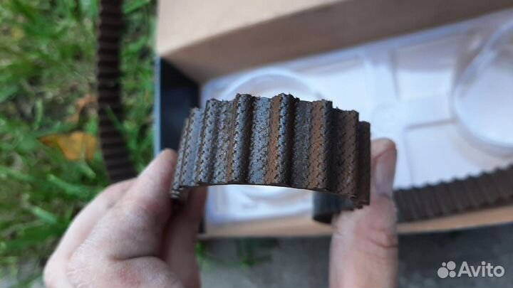 Ремень грм Priora 16кл оригинал