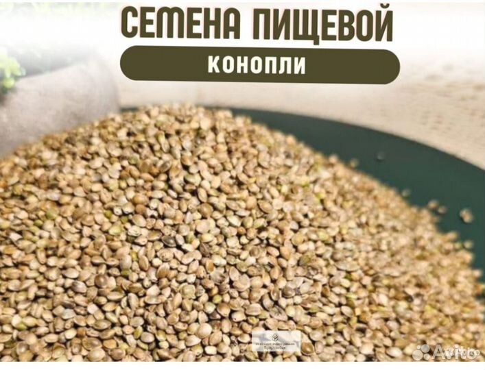 Семена пищевой конопли от производителя