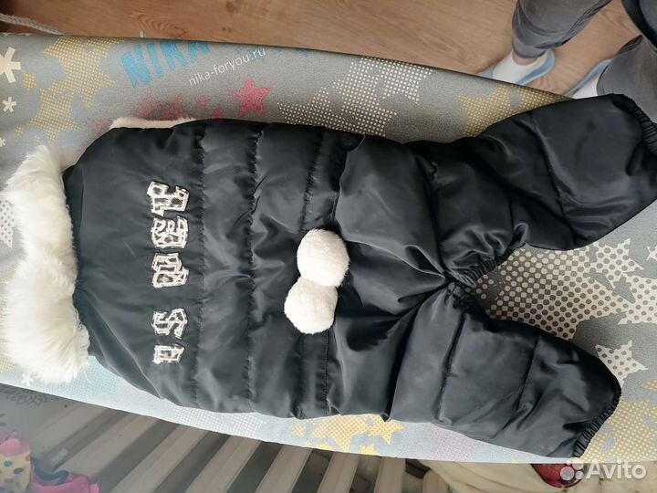 Одежда для собак