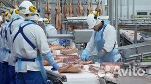 Мясник обвальщик мираторг