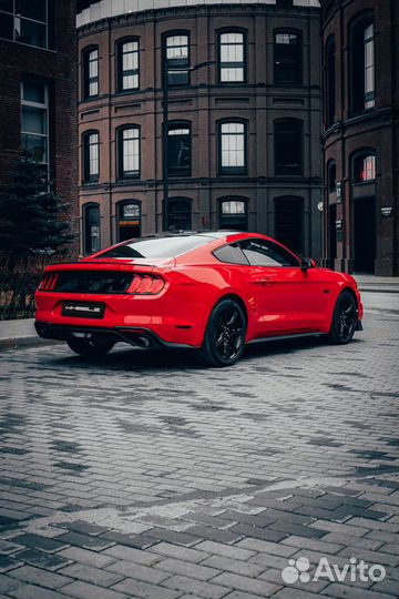 Аренда авто Ford Mustang Shelby