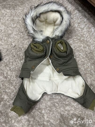 Одежда для собак мелких пород