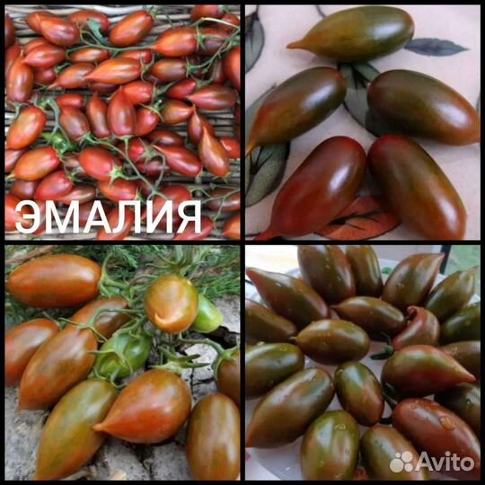 Семена томатов