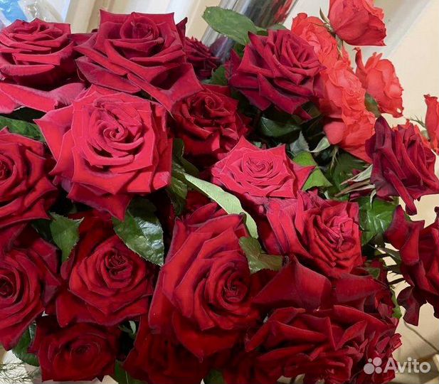 Местные розы