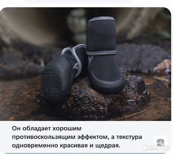 Обувь для средних собак