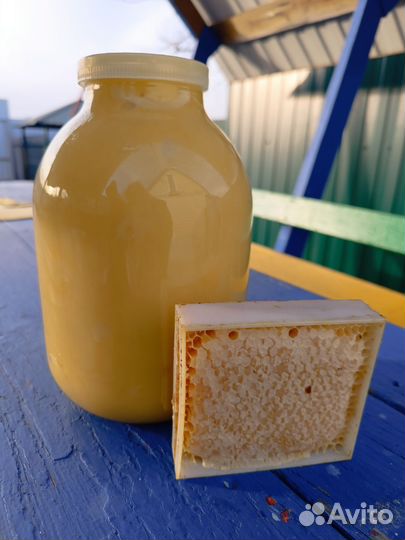 Мëд Урожай 2023