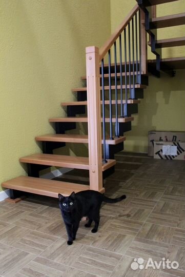 Лестница на металлическом каркасе