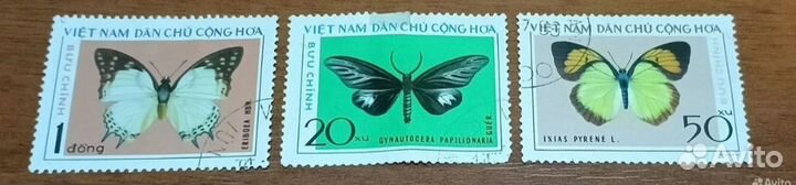 Марки бабочки