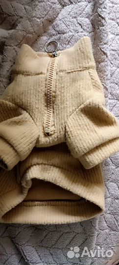 Вещи для маленьких собак