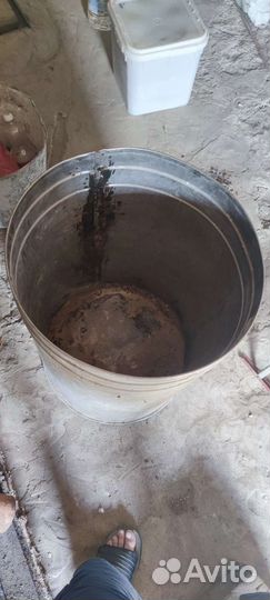 Бочка нержавеющая 150-200л