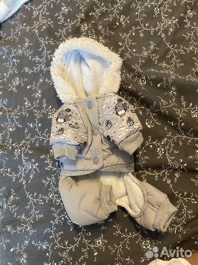 Комбез для маленькой собачки