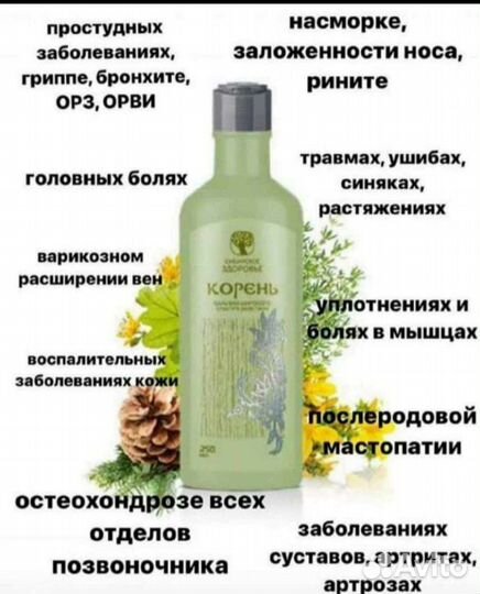 Корень. Сибирское здоровье