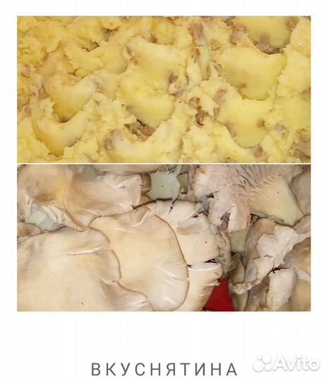 Пельмени домашние полуфабрикаты