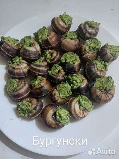 Виноградные улитки