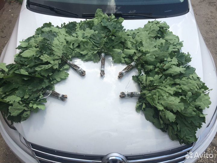 Веники для Бани Дуб