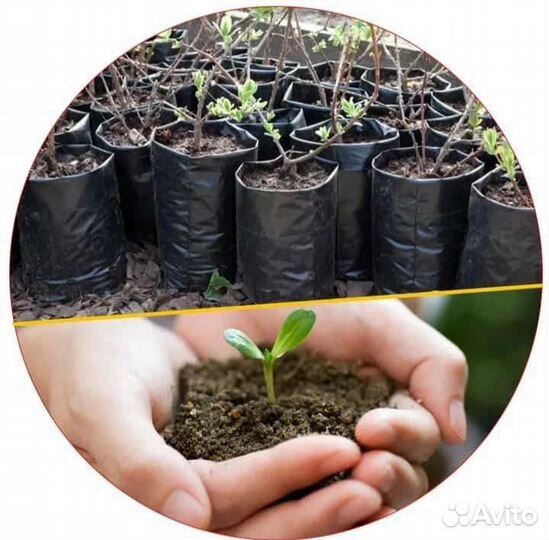 Пакеты и мешки для рассады