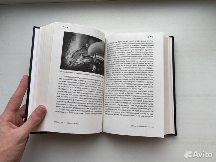 Неандерталец. В поисках исчезнувших геномов