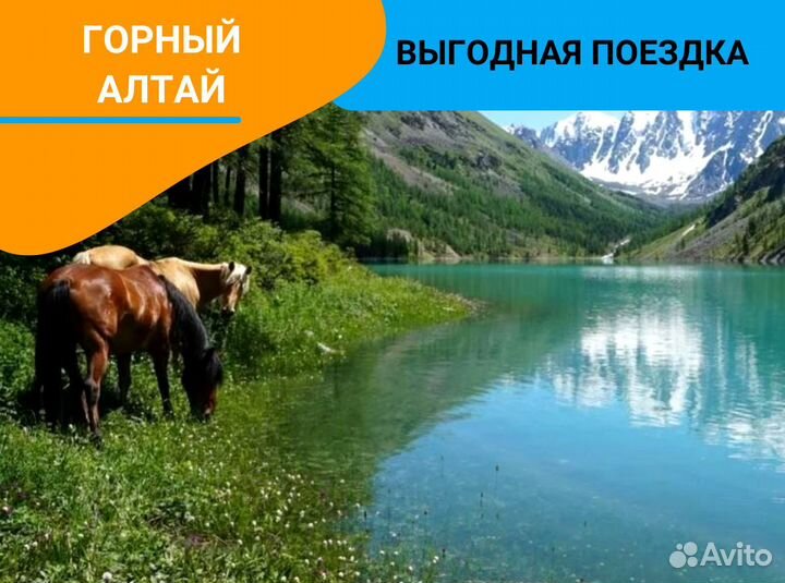 Тур Горный Алтай 6нч