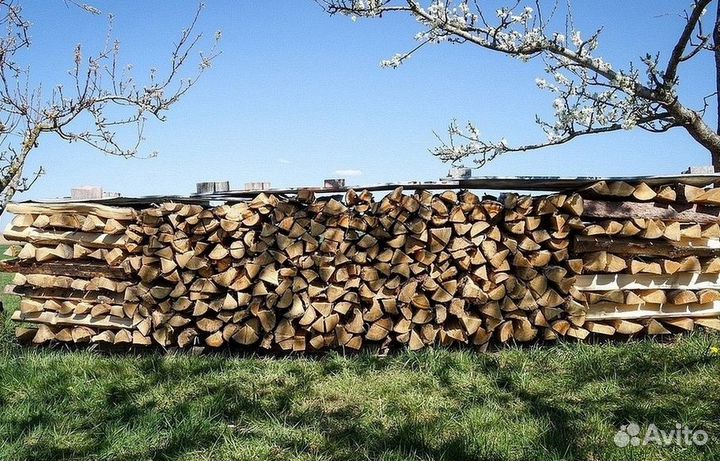Дрова дуб
