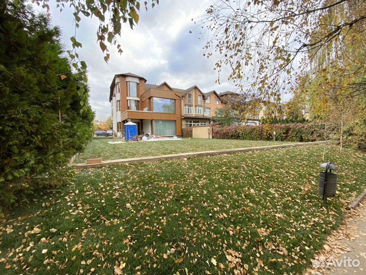 Рулонный газон 100 Мятлик