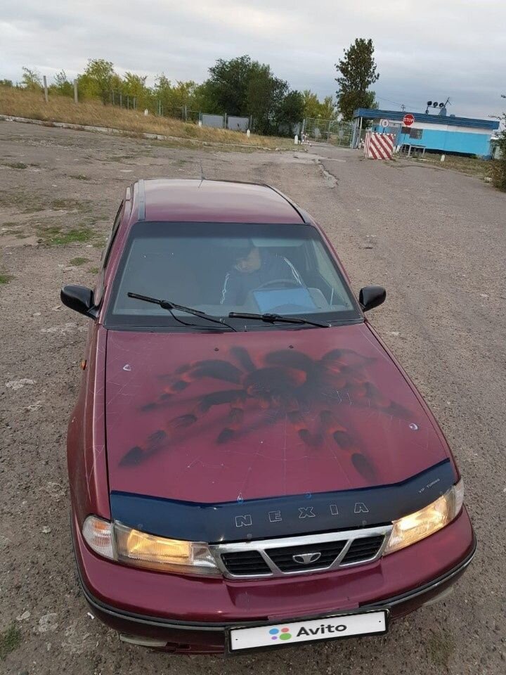 Daewoo Nexia: фото владельца