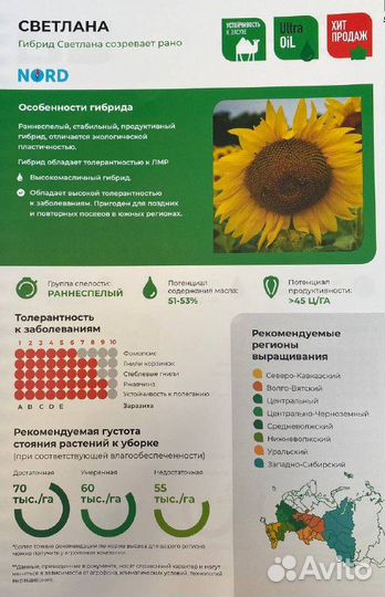 Семена подсолнечника Светлана