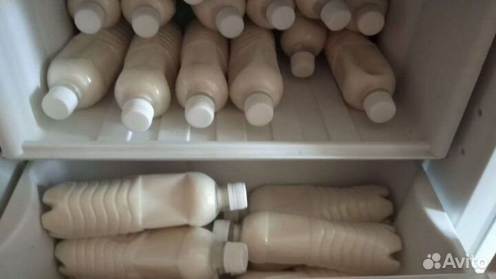 Жир барсука