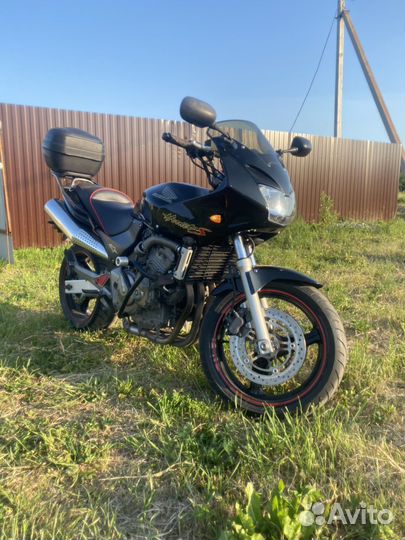 Продам Хорнет