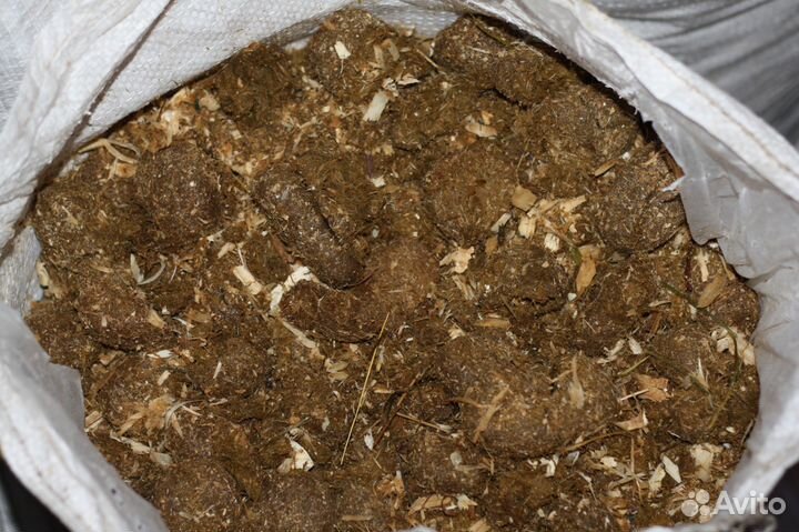 Конский навоз