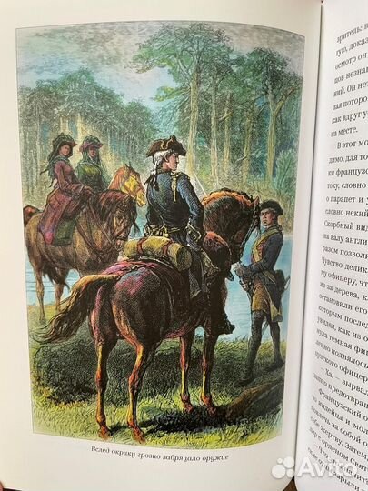 Книги одним лотом