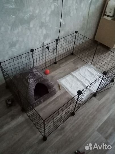 Вольер для собак в квартиру