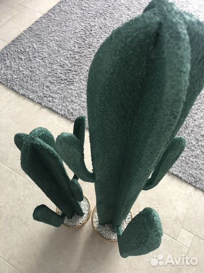 Интерьерные кактусы 2 шт