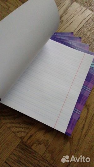 Товары к школе, Дневники