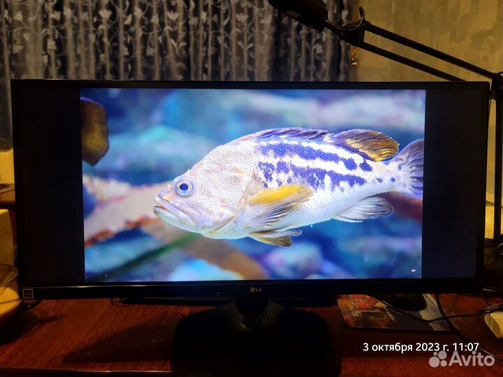 Монитор LG 25UM58 - P