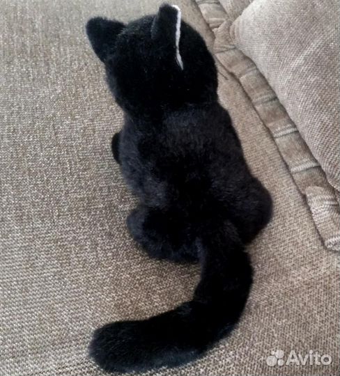 Красивый и пакостный котик